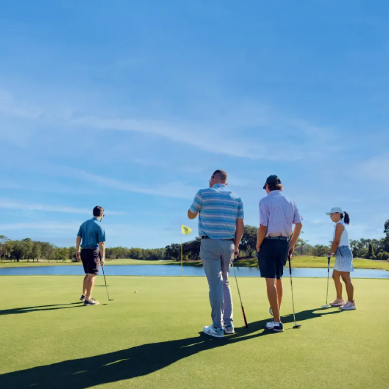 Four Golf players