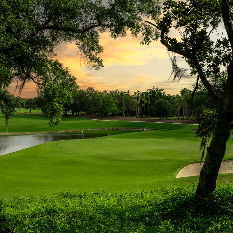 Grand Cypress Golf Cypress Course 16th Hole Image of the 16th hole on the Grand Cypress Golf Cypress Course at Evermore Orlando Resort.